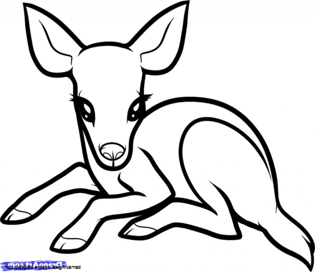 Easy Animal Drawing at GetDrawings | Free download