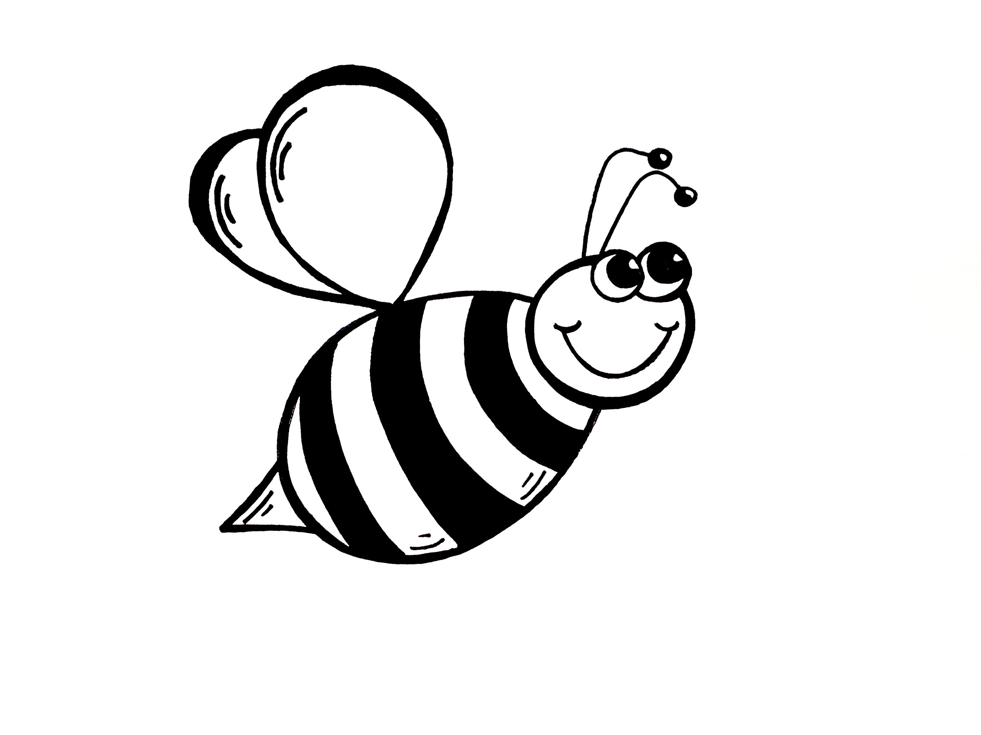 Easy Bee Drawing at GetDrawings Free download