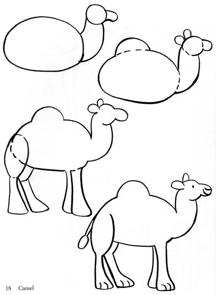 Easy Camel Drawing at Explore collection of Easy