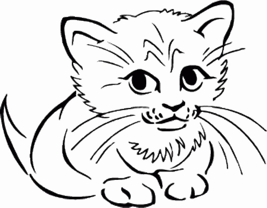 Easy Cat Face Drawing at GetDrawings | Free download