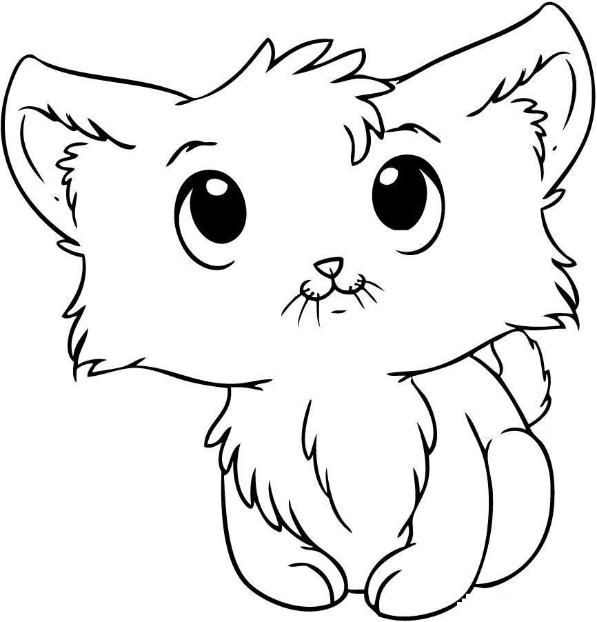 Easy Cat Face Drawing at GetDrawings | Free download