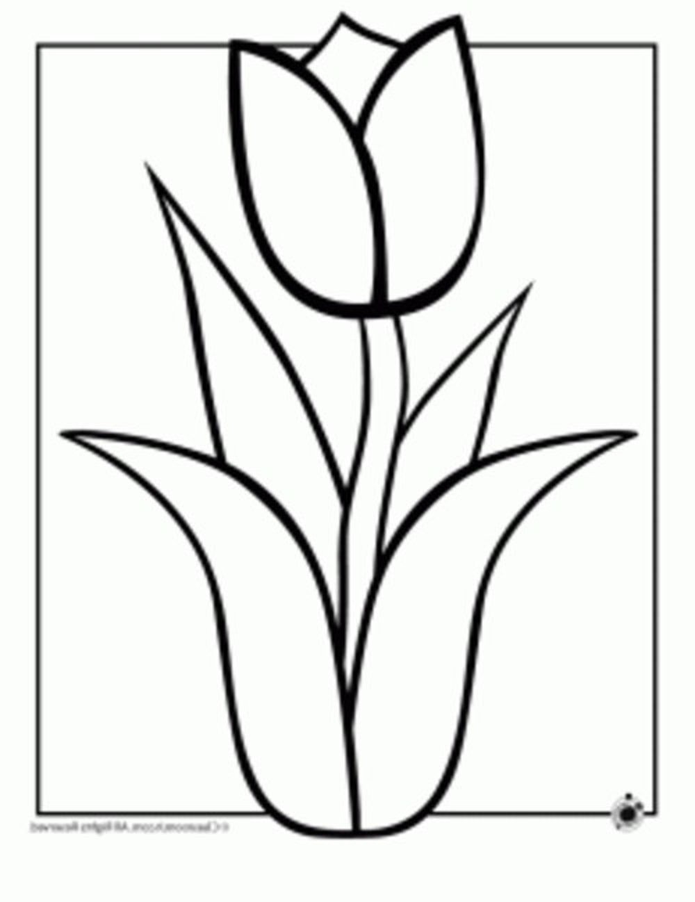 easy-drawing-flowers-at-getdrawings-free-download