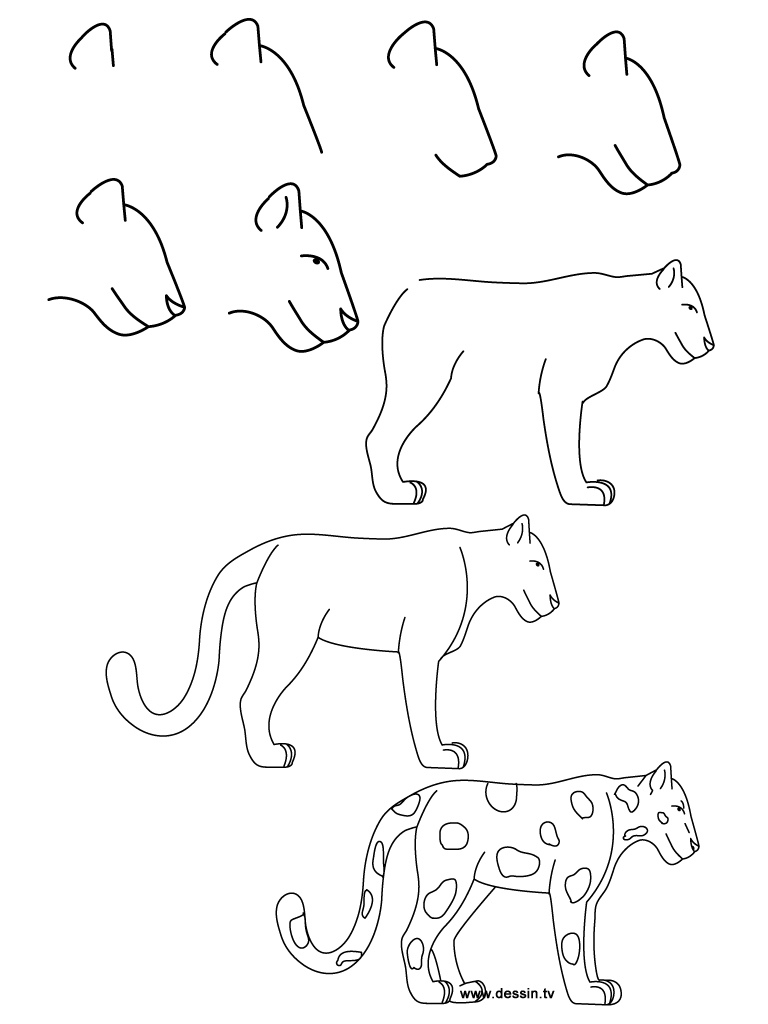 Easy Pictures Of Animals To Draw Step By Step imgstache