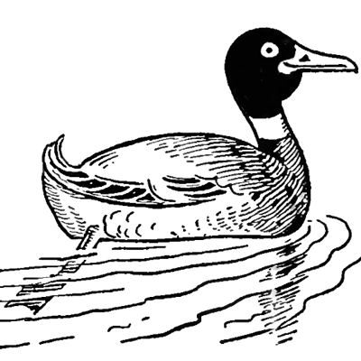 Easy Duck Drawing at GetDrawings | Free download