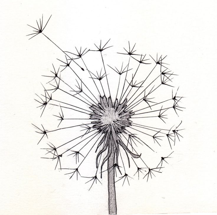 Easy Flower Drawing Tutorials at GetDrawings | Free download