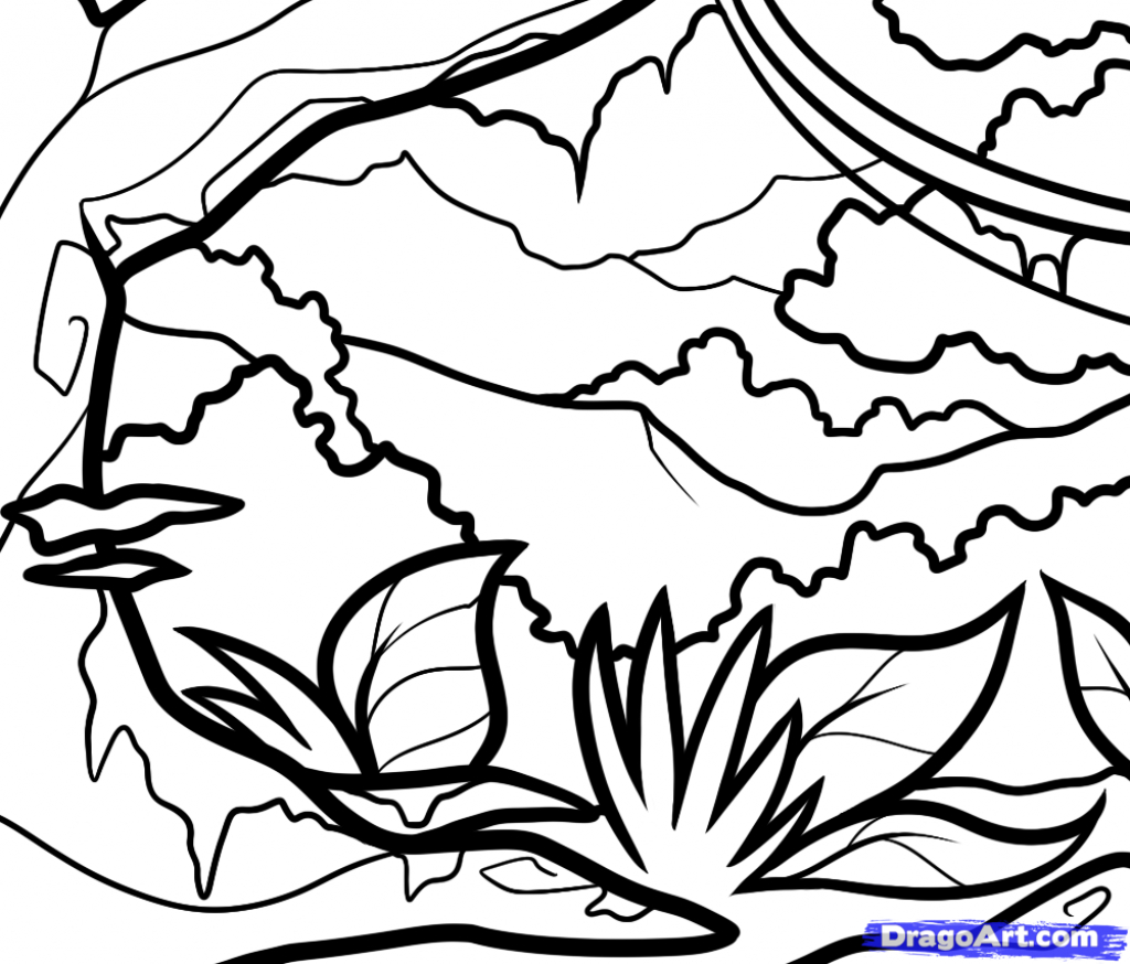 Easy Jungle Drawing at GetDrawings | Free download