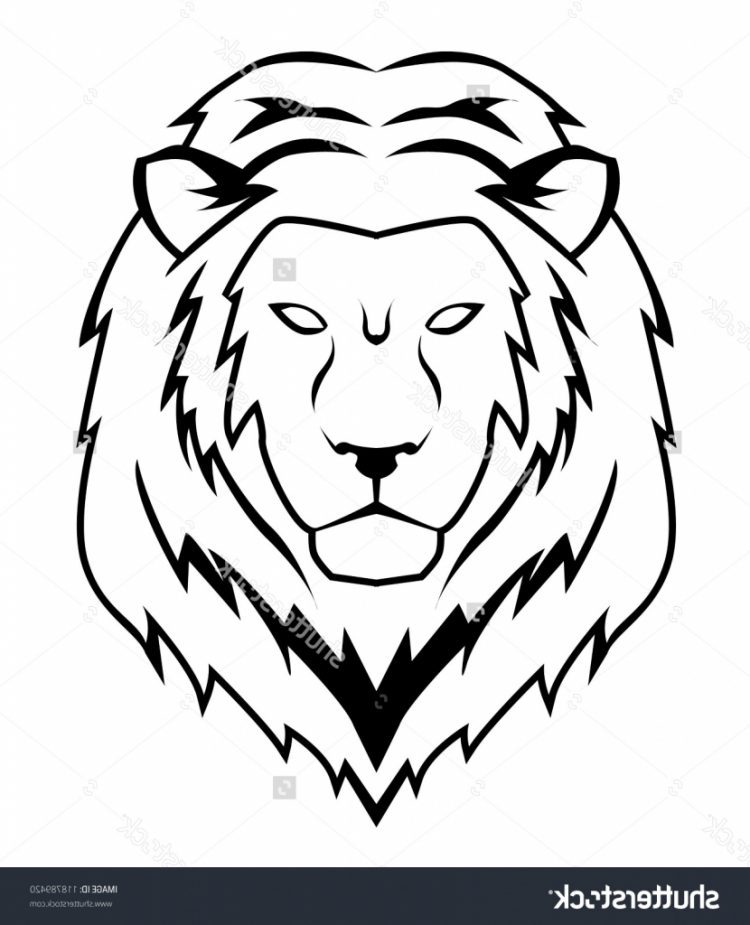 Easy Lion Face Drawing at GetDrawings | Free download