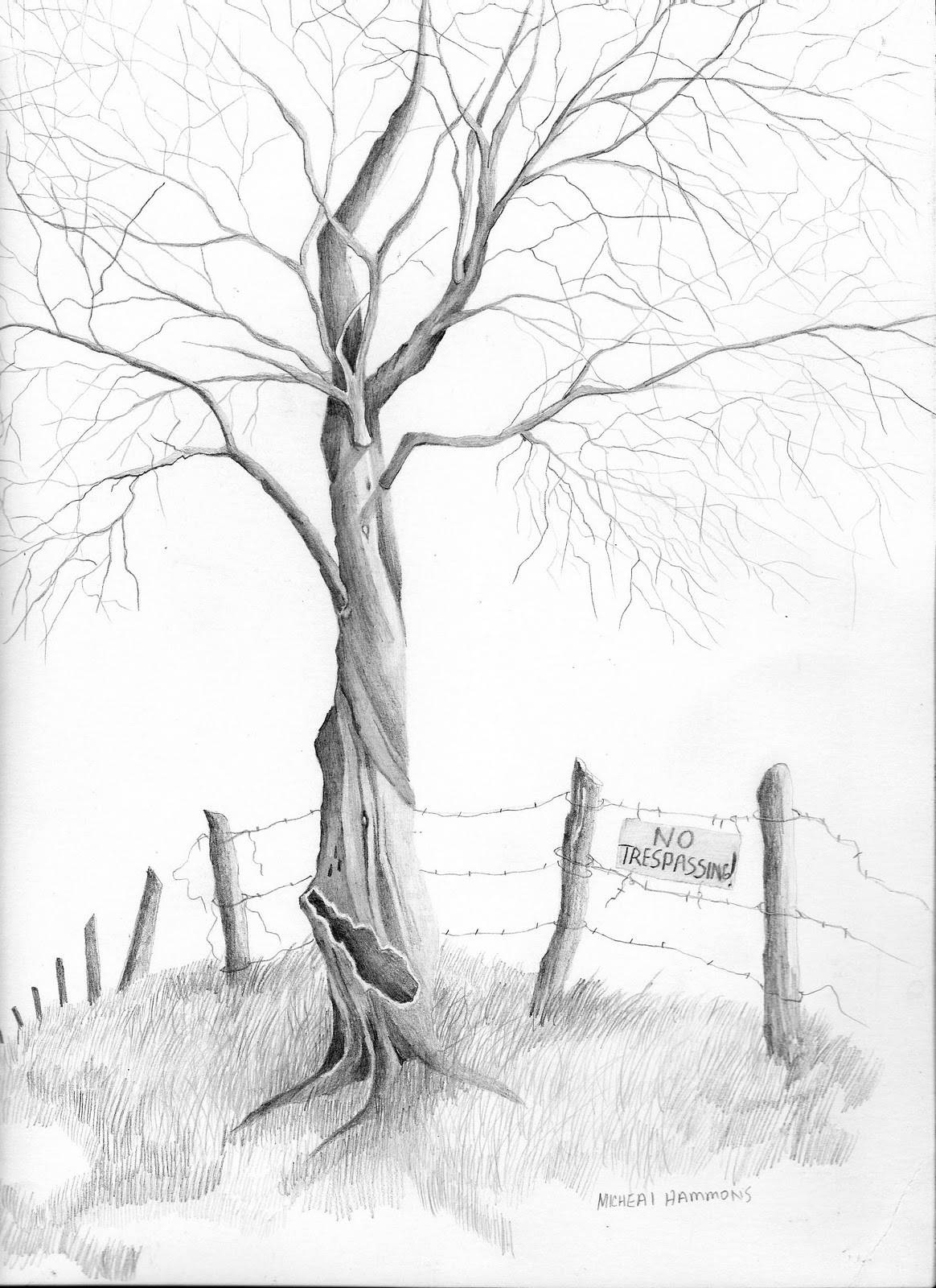 Featured image of post Easy Pen Drawings Nature