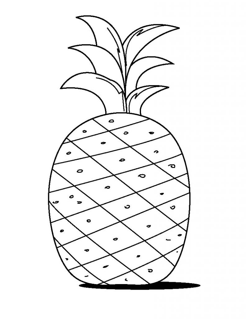 Easy Pineapple Drawing at GetDrawings Free download