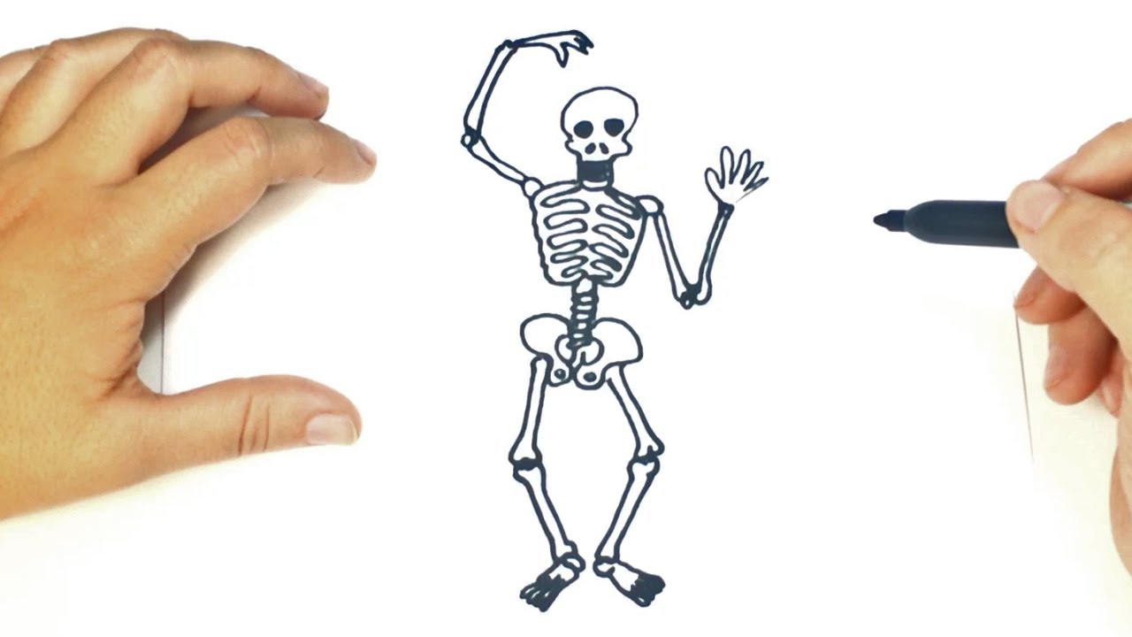 how to draw a human skeleton easy