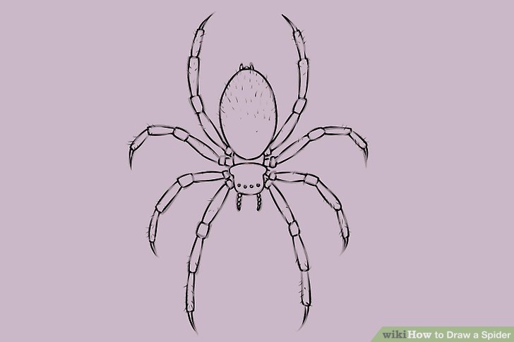 stick spider drawing