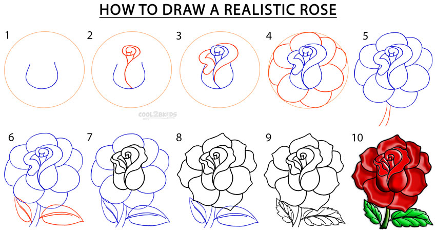 Easy Step By Step Drawing Of A Rose At GetDrawings | Free Download