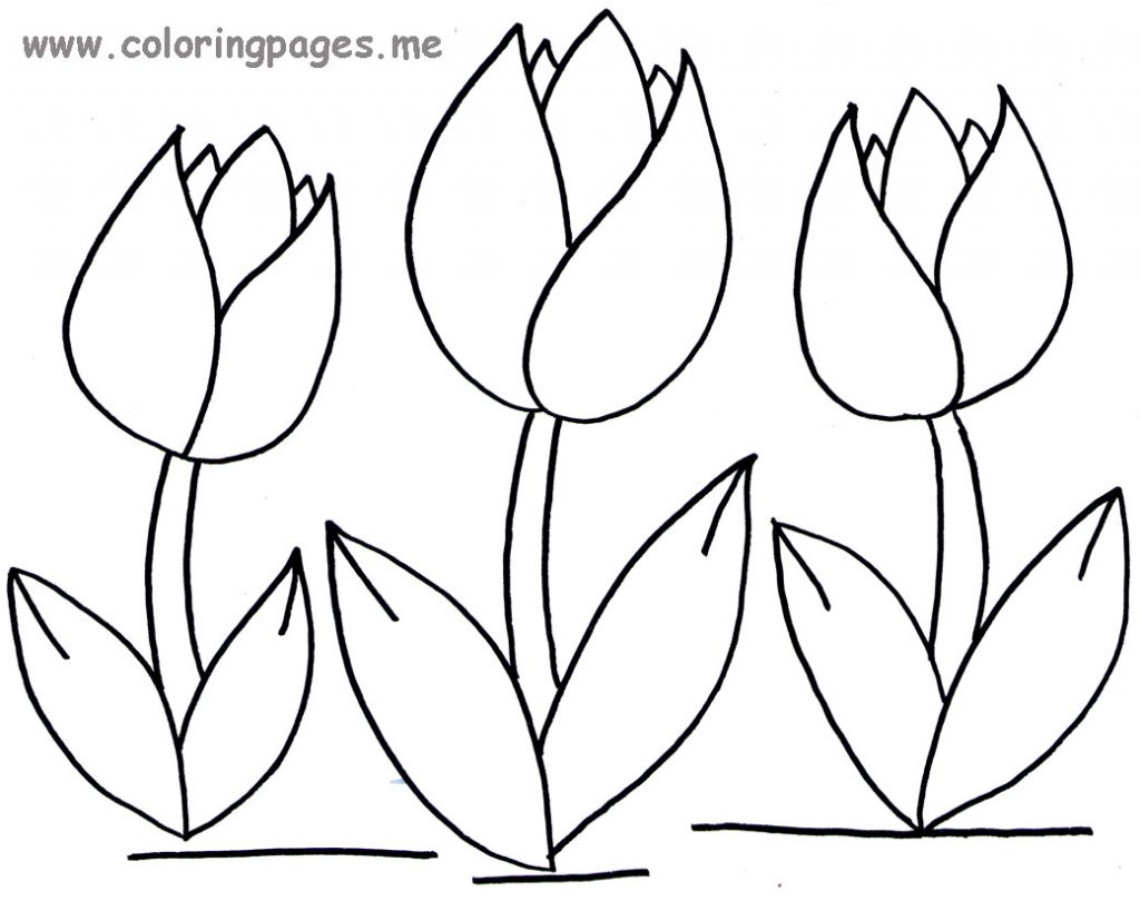 Featured image of post Easy Tulip Coloring Pages