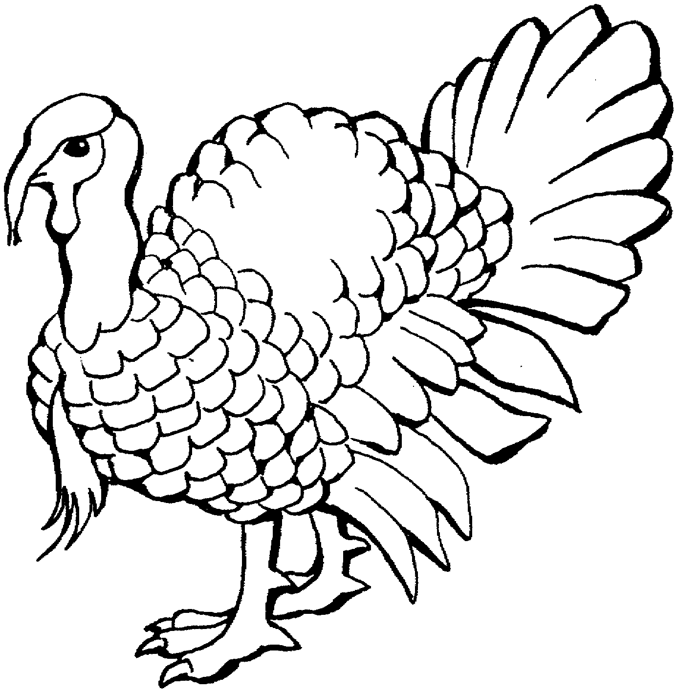 Easy Turkey Drawing at GetDrawings | Free download