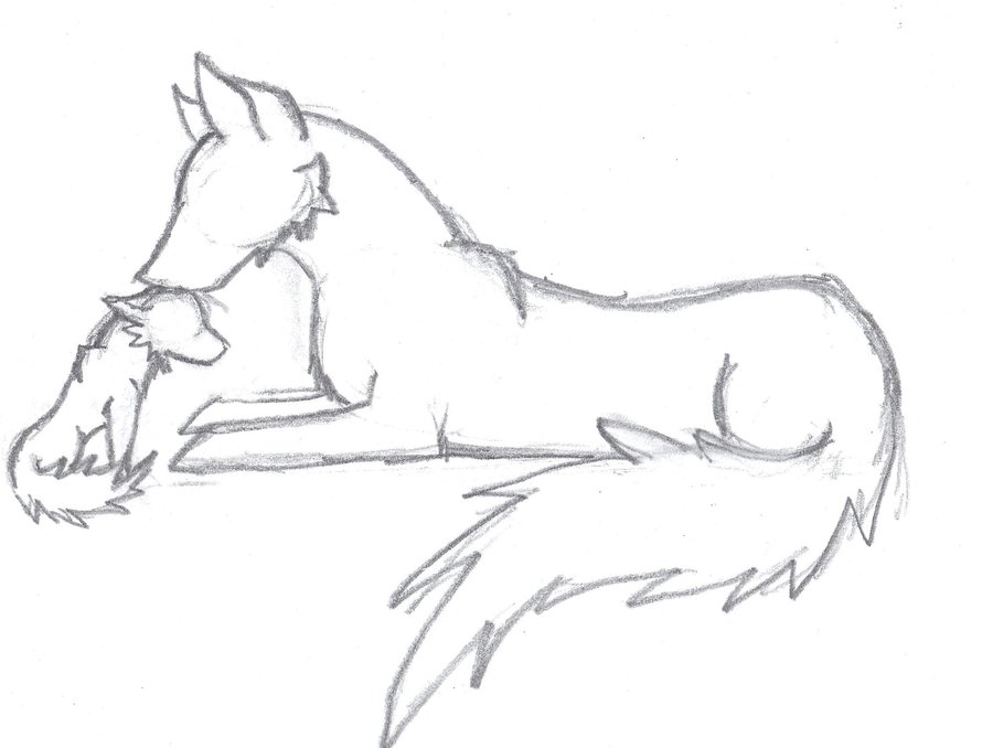 Easy Wolf Drawing at GetDrawings Free download