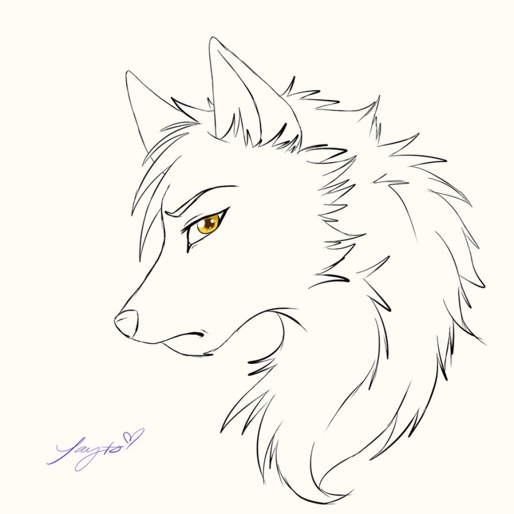 Featured image of post Easy Cute Sketches Of Wolves - Wolf sketches by kyndrii on deviantart.