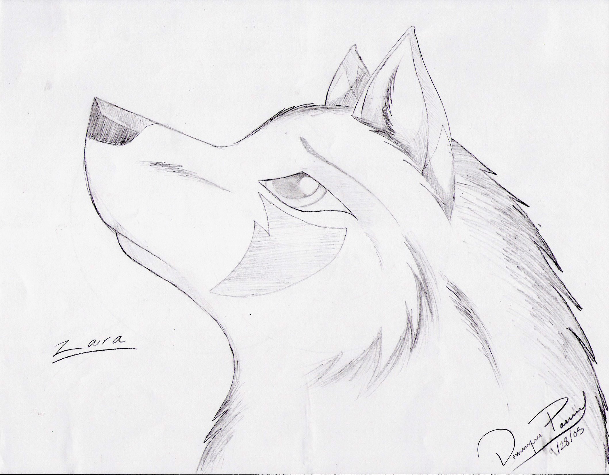 Easy Wolf Head Drawing at GetDrawings | Free download