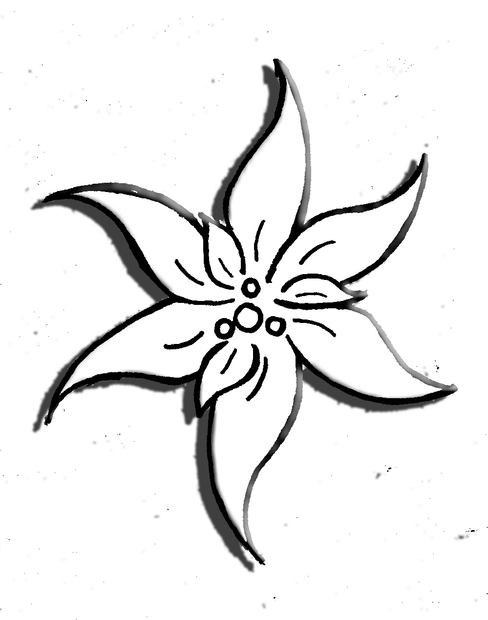 Edelweiss Drawing at GetDrawings | Free download