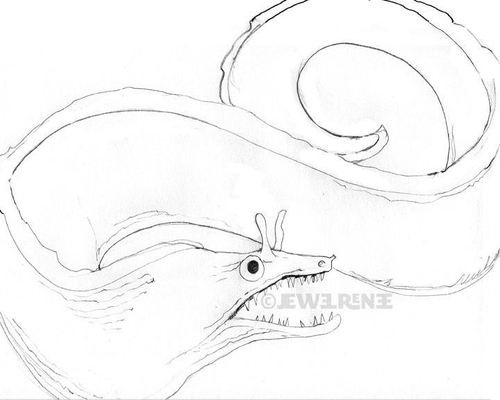 Eel Drawing at GetDrawings | Free download