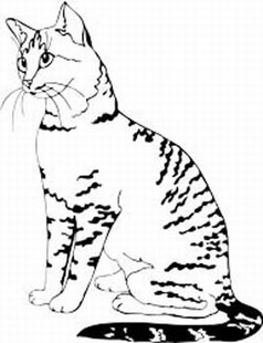 Egyptian Cat Drawing at GetDrawings | Free download