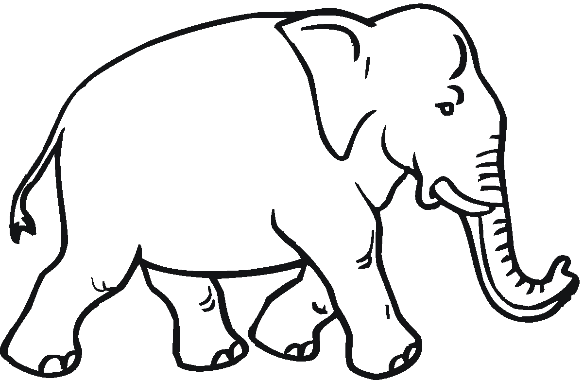 small elephant drawing