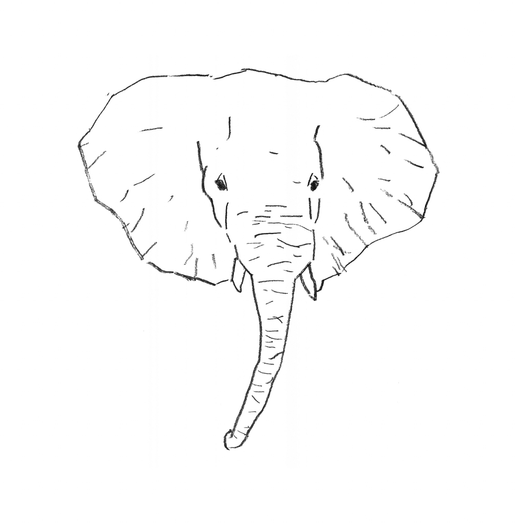 Голова слона рисунок карандашом поэтапно