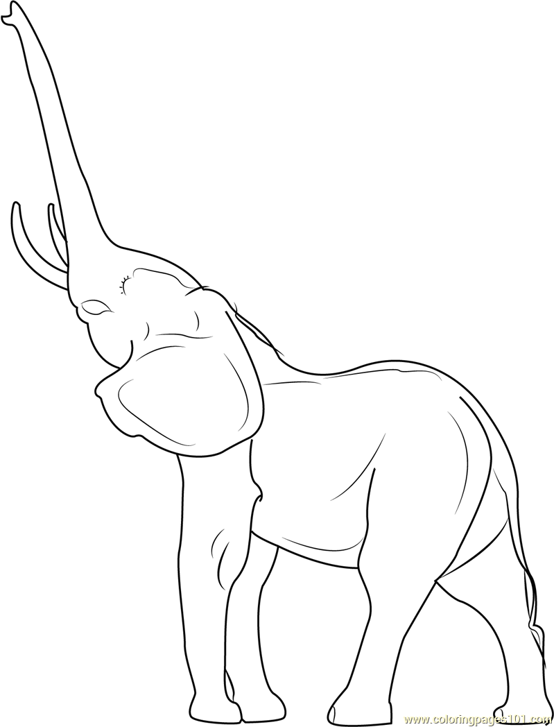 Elephant Drawing Trunk Up at GetDrawings Free download