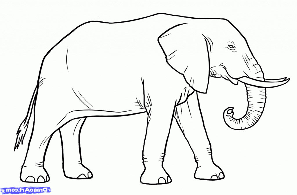 Elephant Simple Drawing at GetDrawings | Free download