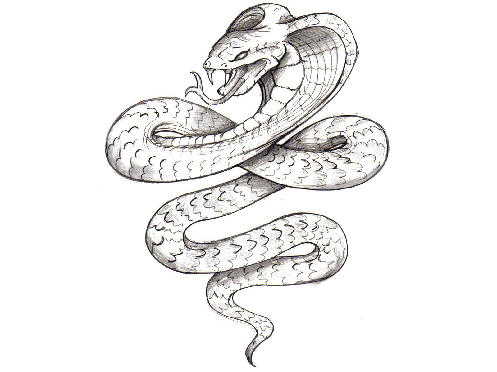 intricate snake sketch
