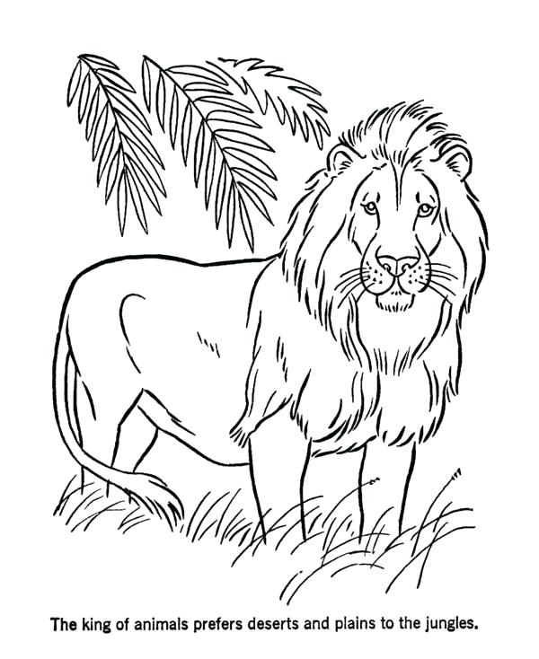 Detailed Lion Face Coloring Pages / Print out the file on white a4 or