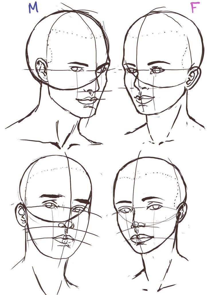 Face Reference Drawing at GetDrawings Free download