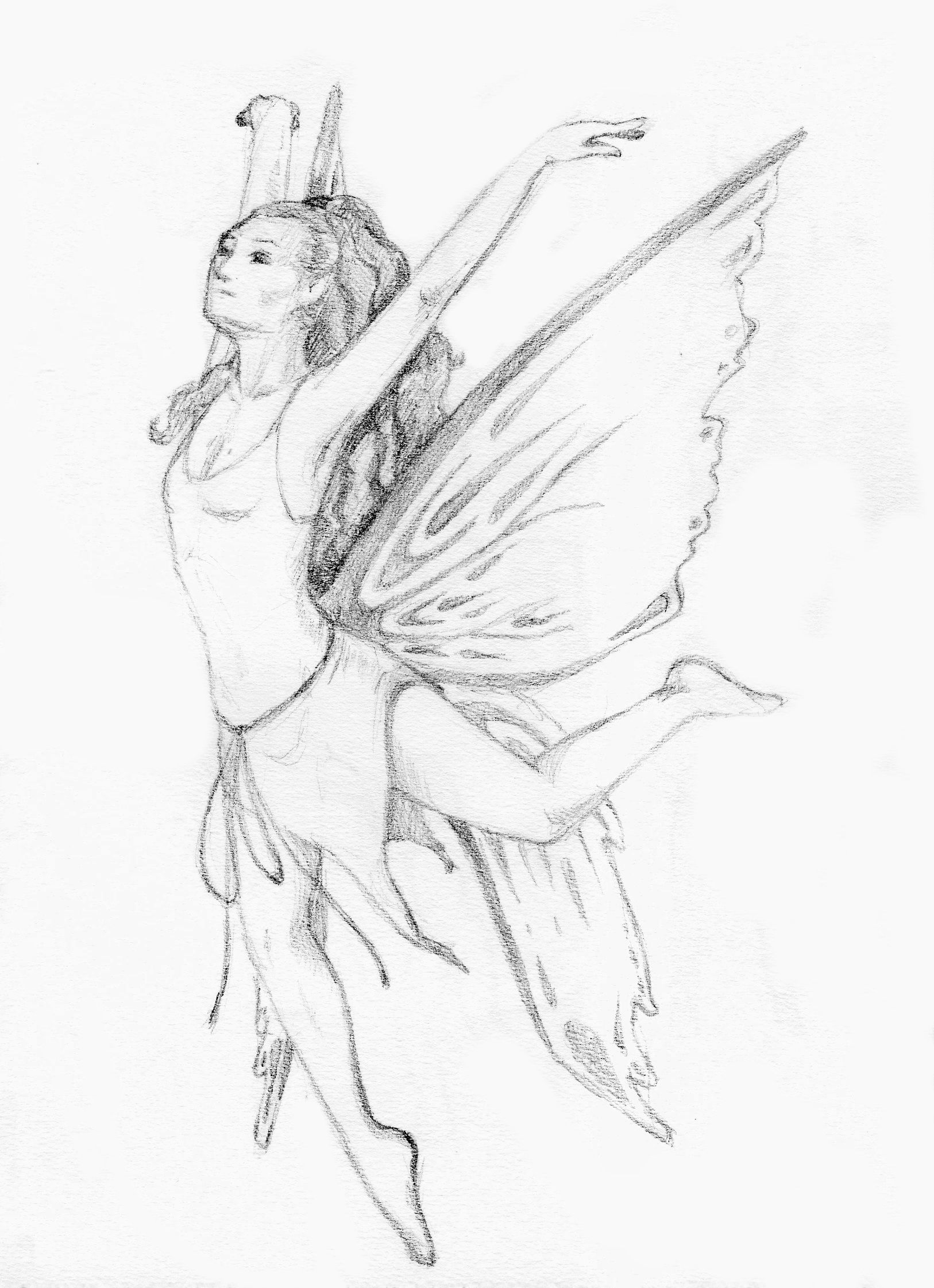 Fairies Black And White Drawing at GetDrawings Free download