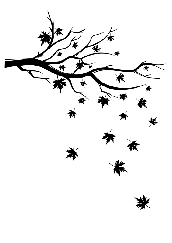 Falling Leaf Drawing at GetDrawings Free download
