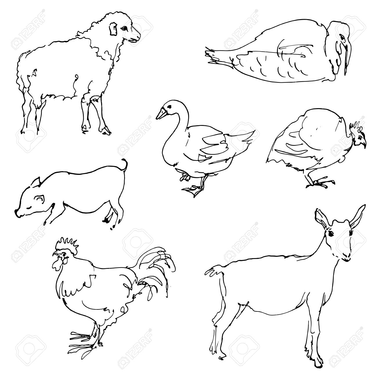 Farm Animal Drawing at GetDrawings Free download