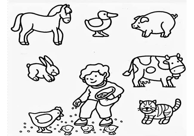 Farm Animal Drawing at GetDrawings Free download