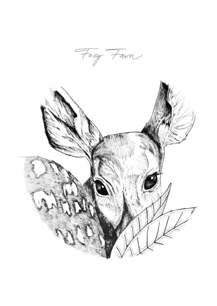 Fawn Drawing at GetDrawings | Free download