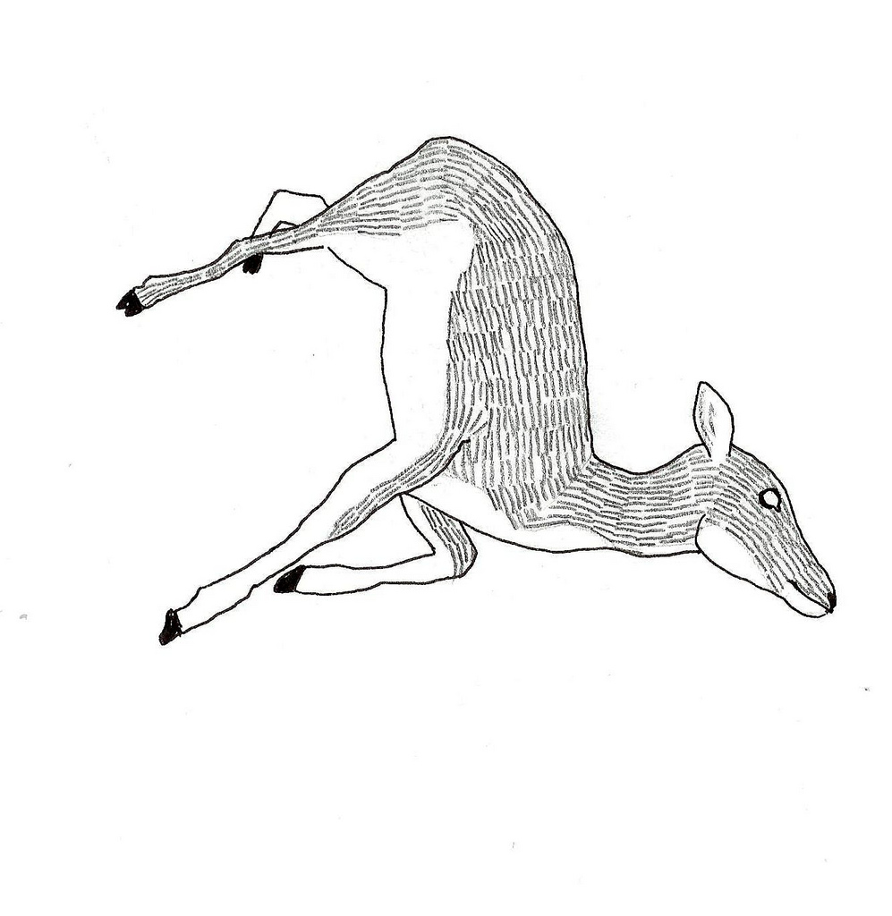 Fawn Drawing at GetDrawings | Free download