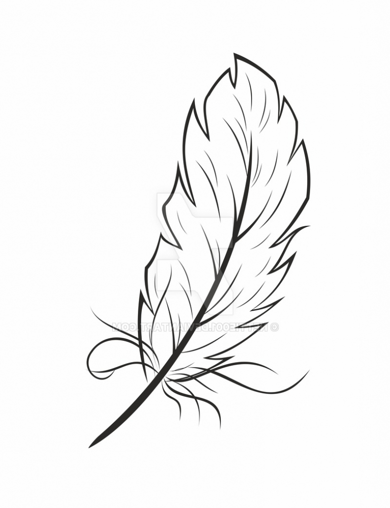 Cartoon Feather Sketch How To Draw for Adult