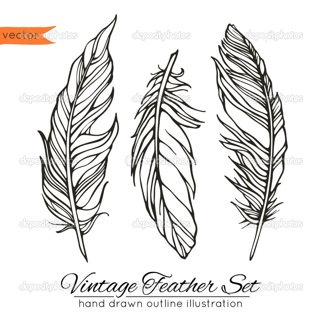 Feather Line Drawing at GetDrawings Free download