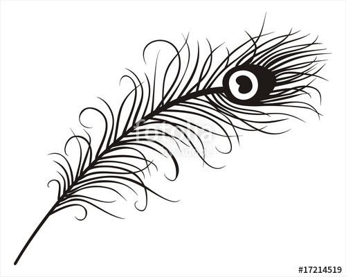 Feather Line Drawing at GetDrawings | Free download