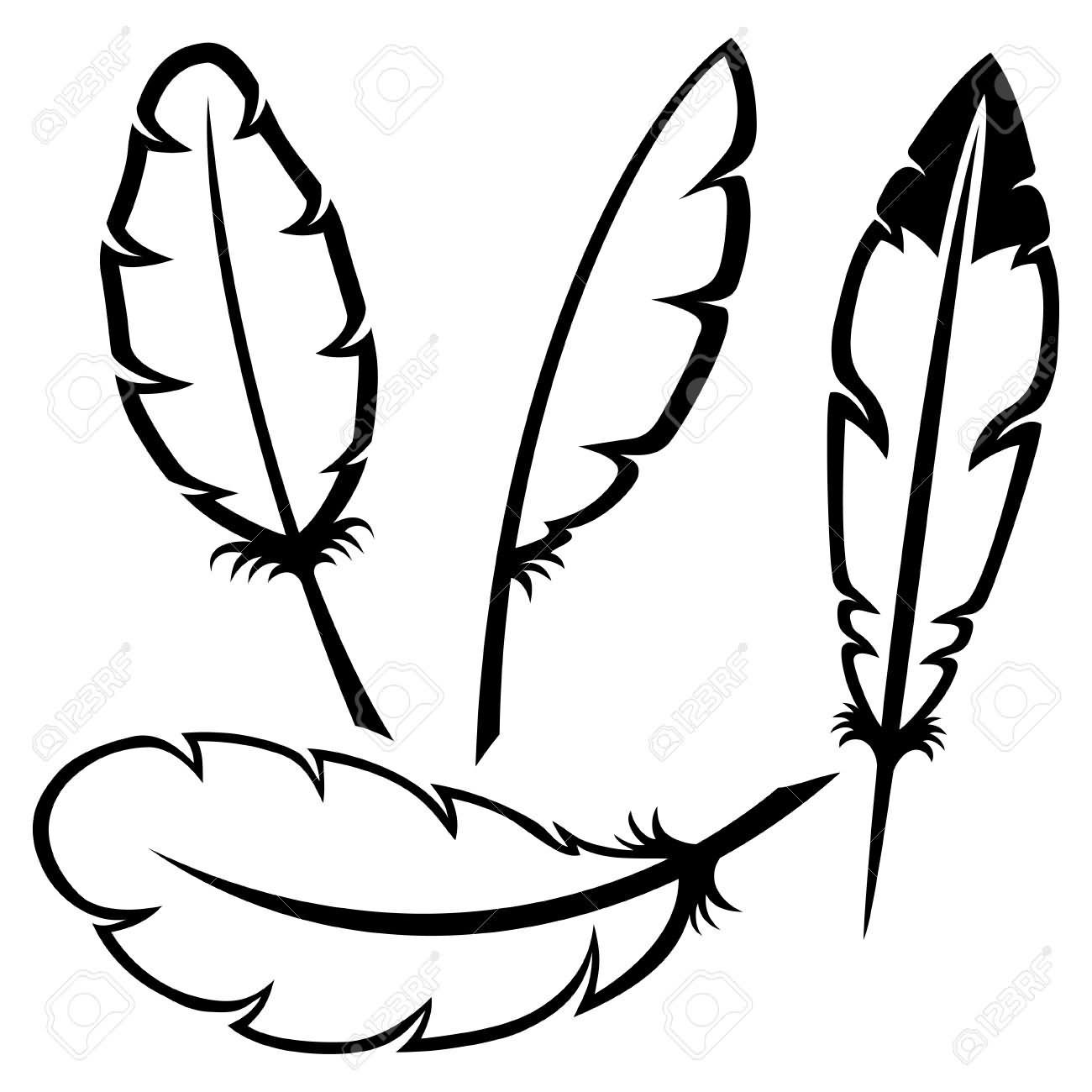 Feather Outline Drawing At Getdrawings Free Download