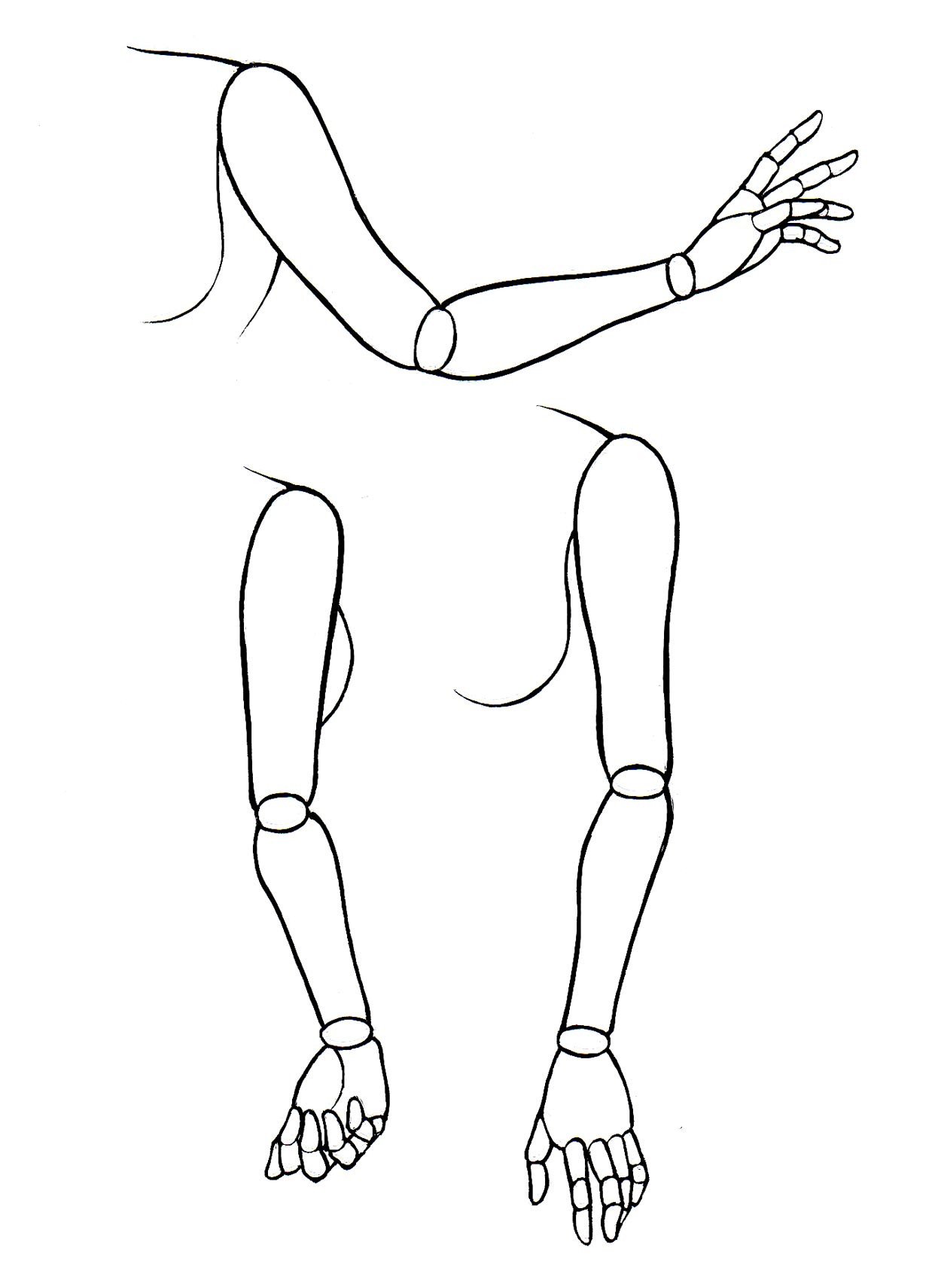 drawing the female form pdf