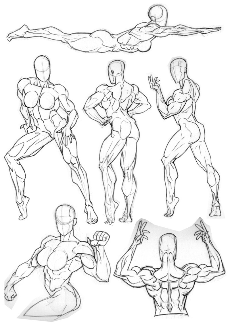 Back muscles drawing reference female. 