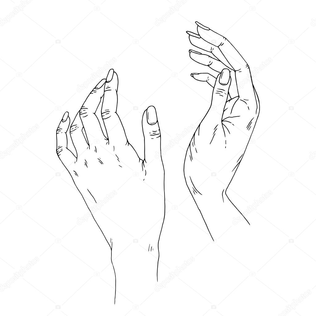 Female Hands Drawing at GetDrawings | Free download