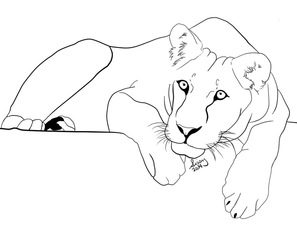 Female Lion Drawing at GetDrawings Free download