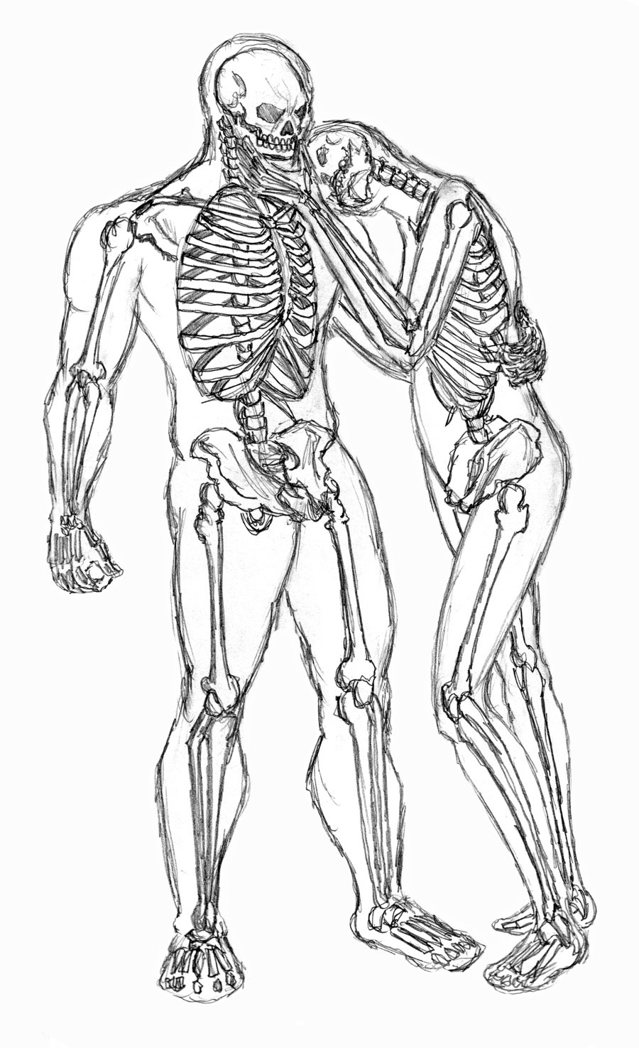 skeleton man vs skeleton female