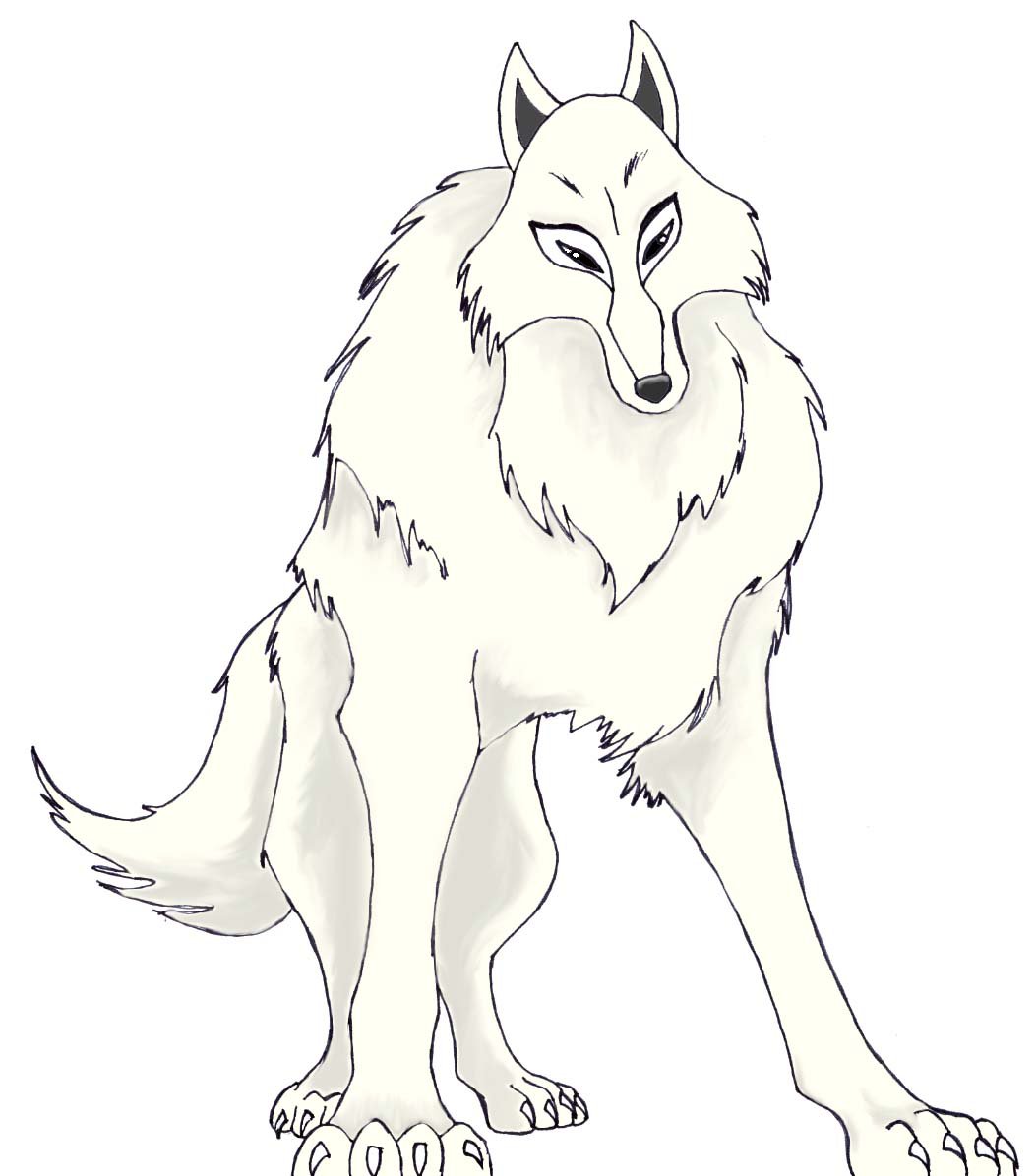 Female Wolf Drawing At Getdrawings ... 
