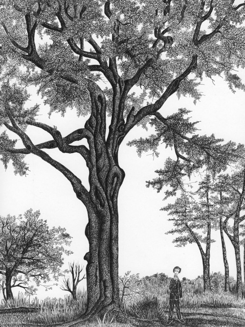 Fig Tree Drawing at GetDrawings | Free download