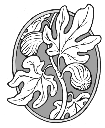 Fig Tree Drawing at GetDrawings | Free download