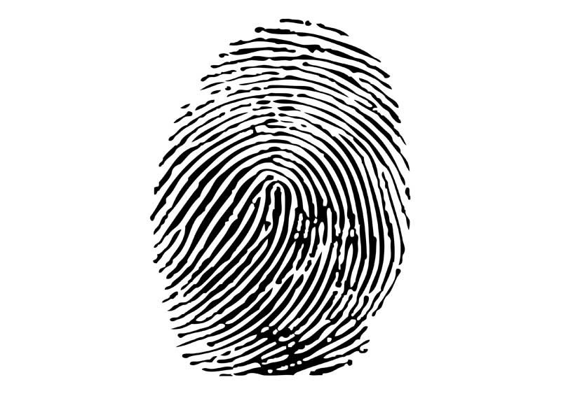 Fingerprint Drawing at GetDrawings | Free download